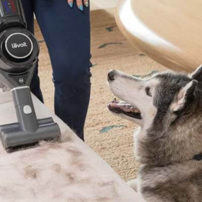 Levoit Vortex IQ Flex apta para hogares con mascotas